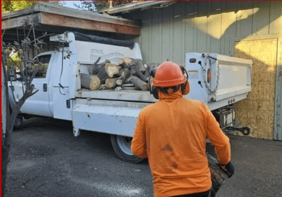 Crew loading logs into service truck