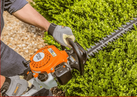 Landscape greenery prepared for professional trimming