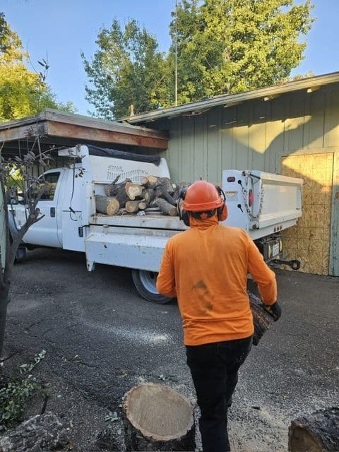 Anderson Tree Service crew at work