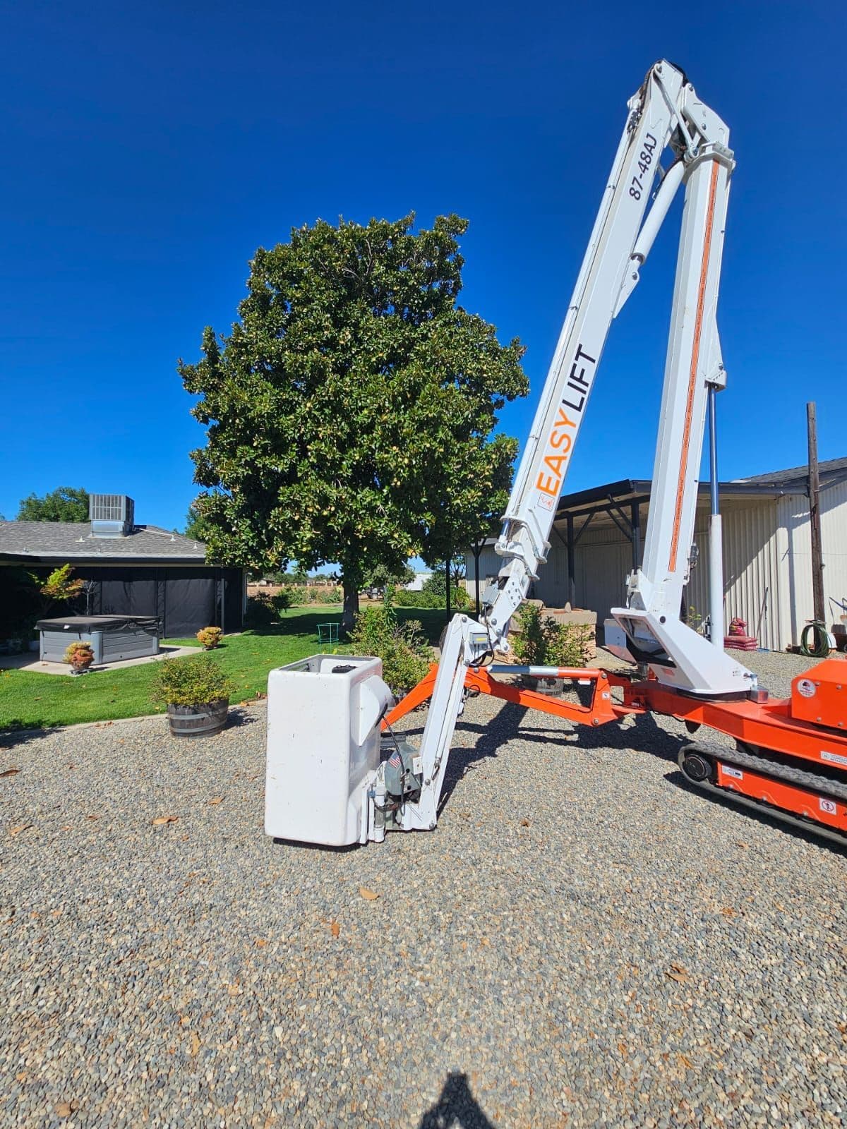 Arborist Inspection
