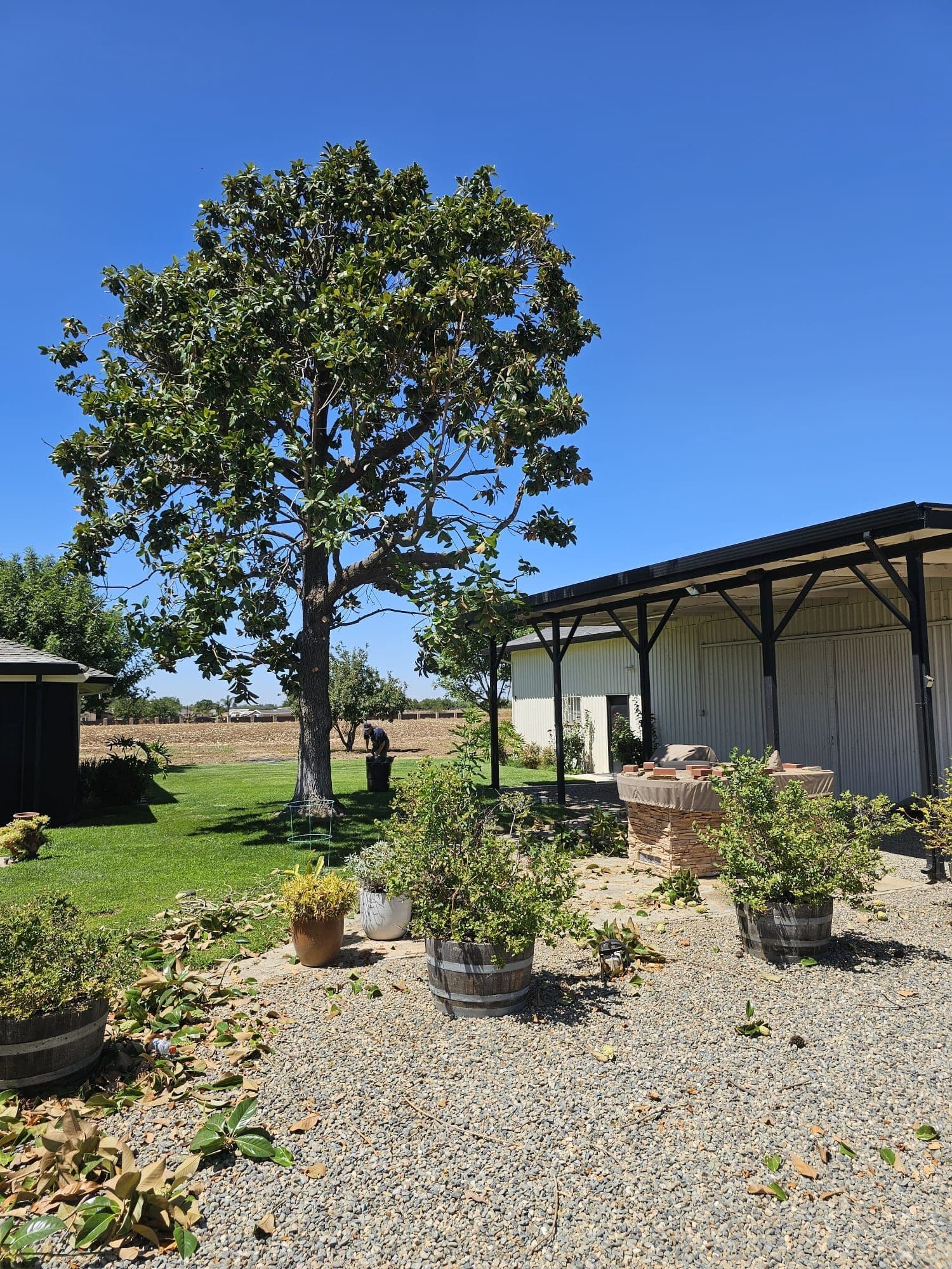 Mature tree and landscaped property served by Anderson Tree Service