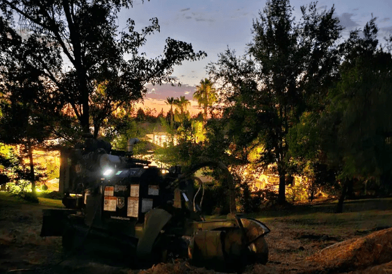 Stump grinding at sunset